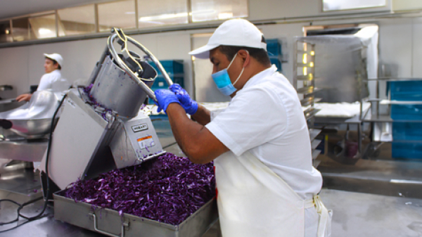 Procesador de Alimentos: Facilidad y Seguridad en Cada Corte